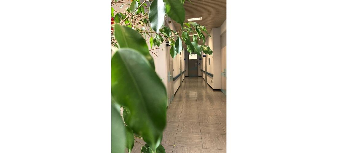 Centro per i disturbi della nutrizione e dell'alimentazione